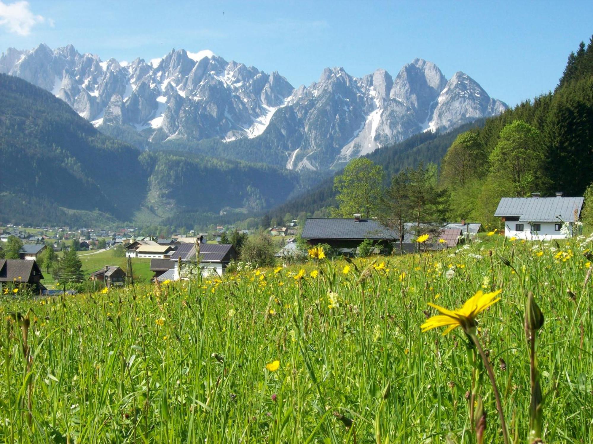 Sunseitn Apartments Gosau Zewnętrze zdjęcie